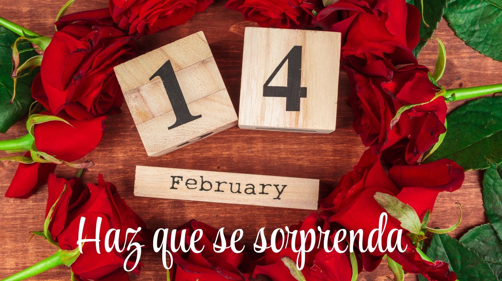 14 Febrero PC